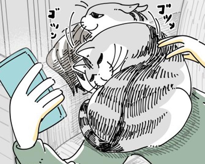 【ネコ漫画】スマホに夢中な飼い主に嫉妬する愛猫!?かまってほしい姿に「わかりみが深い」など共感コメントが殺到！