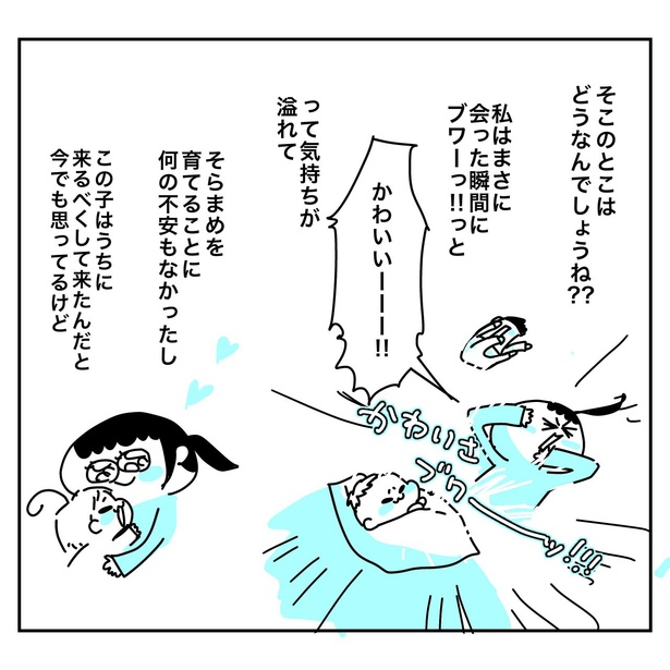 20年前に養子を迎えたツバメさんの話12