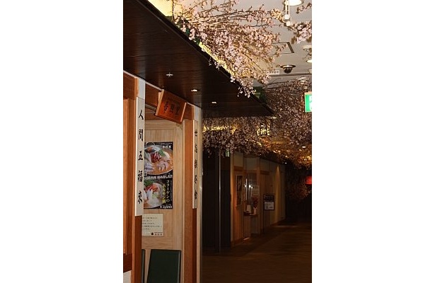春の雰囲気の中で、食事してみる!?