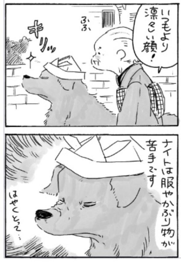 姫ばあちゃんとナイト_p35
