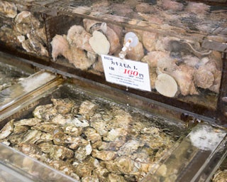 ブランドガキを食べ比べ!?　北海道のカキの町の直売店がスゴかった