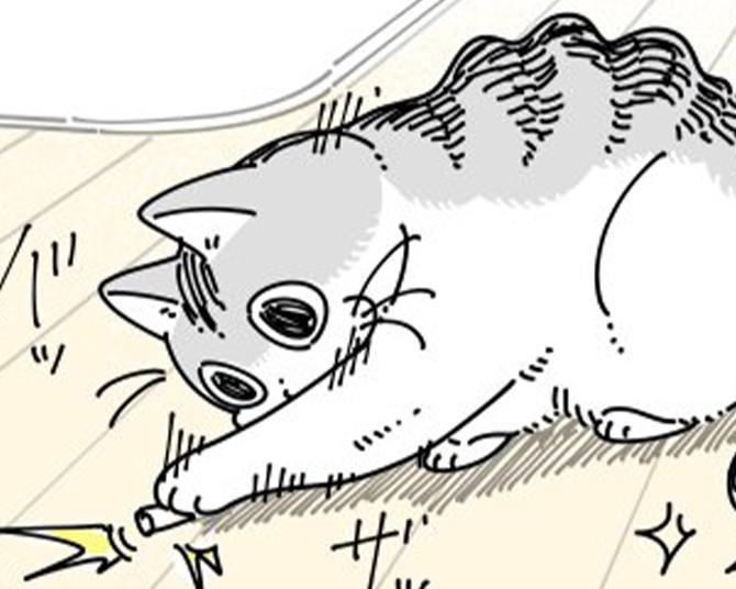 【ネコ漫画】猫砂で楽しそうに遊ぶ愛猫が「かわいすぎる」とSNSでコメント殺到!?その姿を不思議そうに見守る飼い主