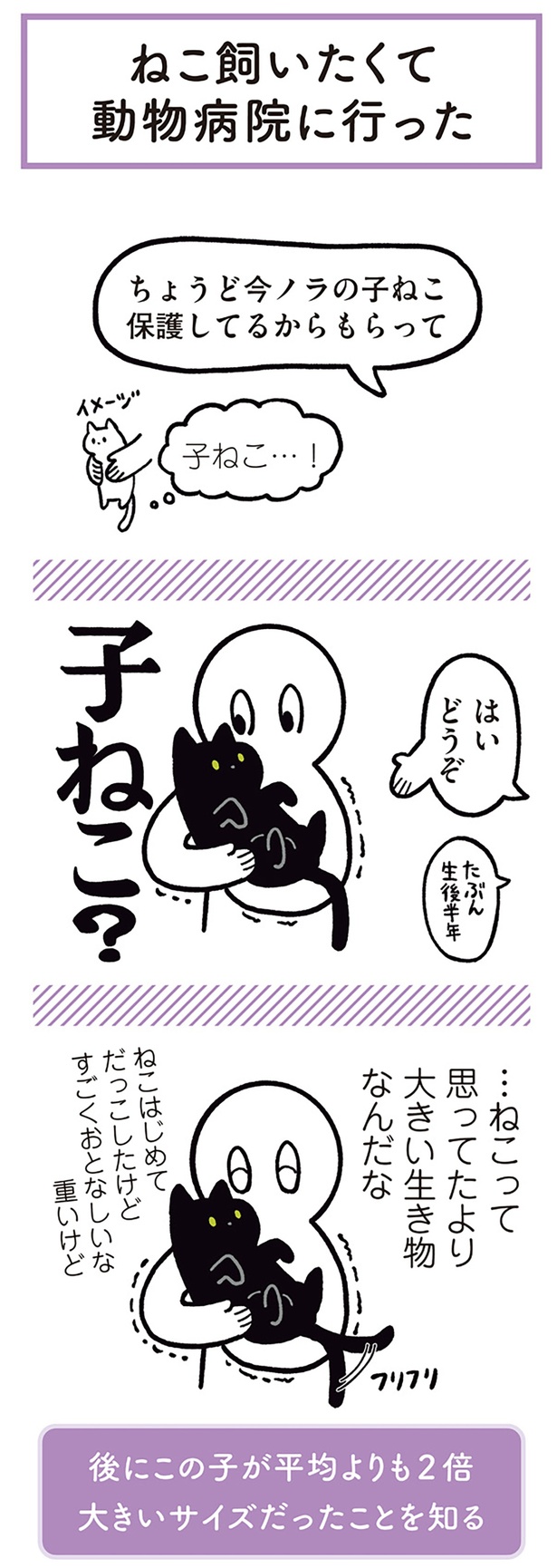 子ねこ？ （C）AKR／KADOKAWA