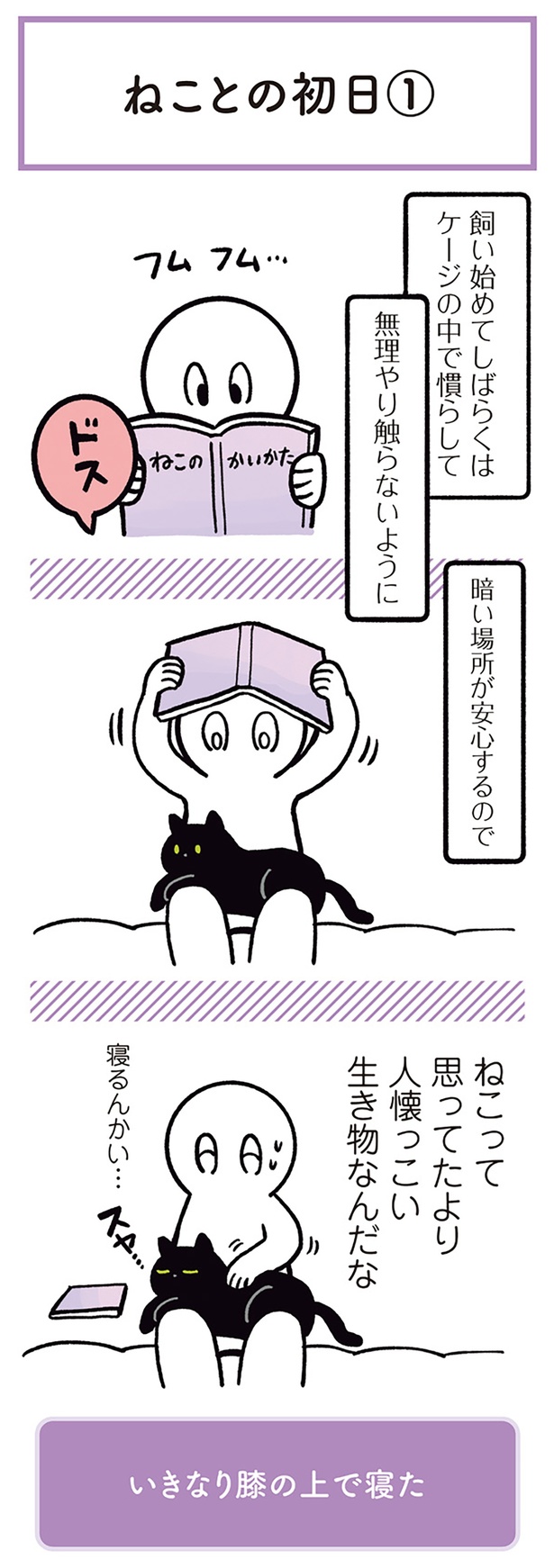 ねこって思ってたより人懐っこい生き物なんだな （C）AKR／KADOKAWA