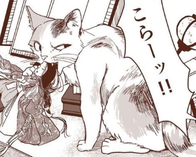 猫がお雛様を壊した！その夜、お内裏様からの復讐!?お雛様をテーマにしたホラーに「温かい」の声が集まる【著者に聞く】