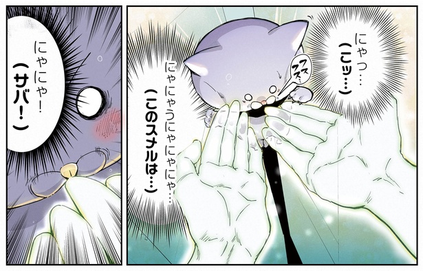 11話P3-3