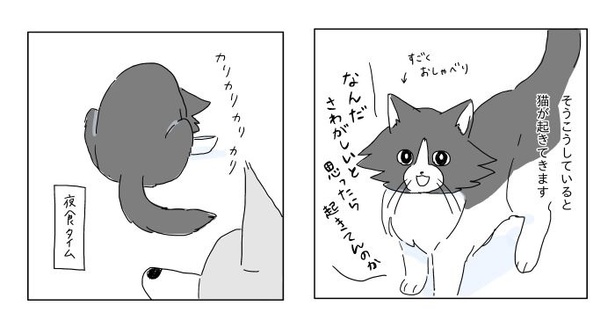 「真夜中にケーキを焼く話」1-29