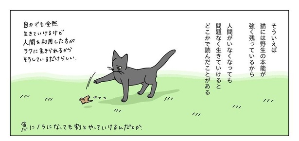 初夏の日に緑茶のフォンダンショコラを焼く話16