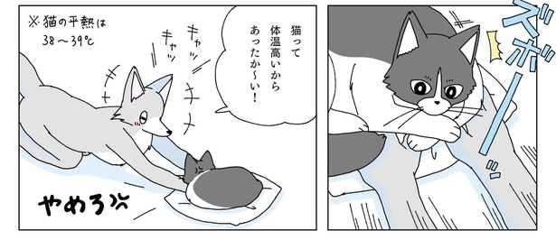 冬の日にブラウニーを焼く話02