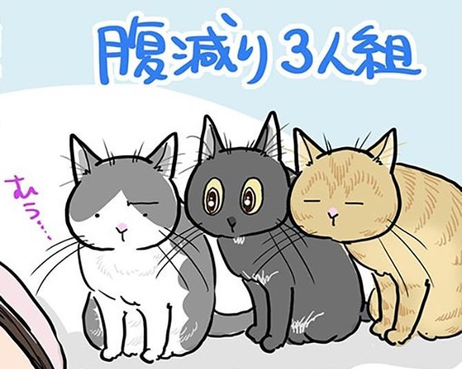 【ネコ漫画】「すみません！起きます！」腹減り猫たち…三者三様の“容赦ない”ゴハンの要求方法とは？【作者に聞いた】