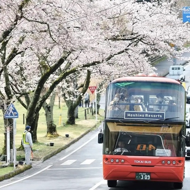 【写真】オープンバス運行中の写真はこちら！