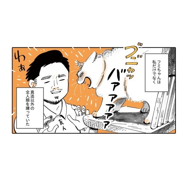 『うちの猫は仲が悪い』