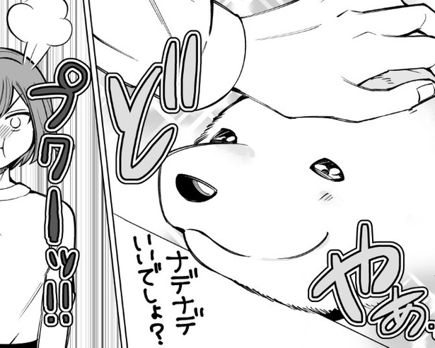 犬のドヤ顔に、妻が憤慨!!