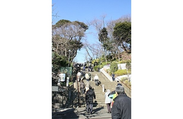 参道からも行列は長く続く