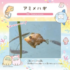 【画像】キャラクターがデザインされたオリジナル解説パネルはこちら