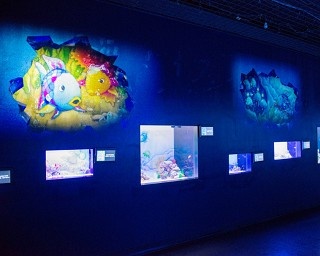 アクアパーク品川で「にじいろのさかな展」が開催
