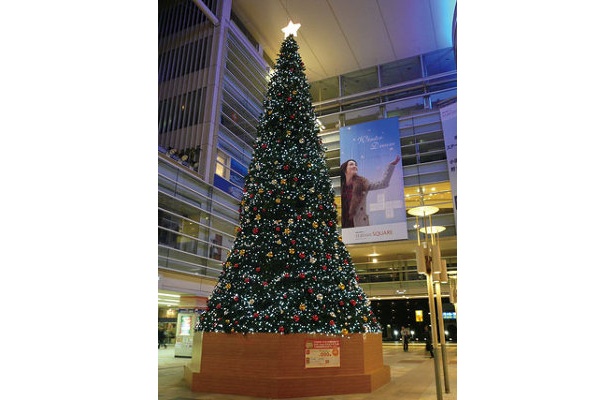 相模大野ステーションスクエアの昨年のクリスマスツリー。迫力！