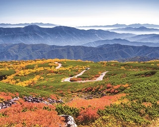 【秋の1dayトリップ】天空で紅葉観賞！長野・乗鞍エコーラインの旅