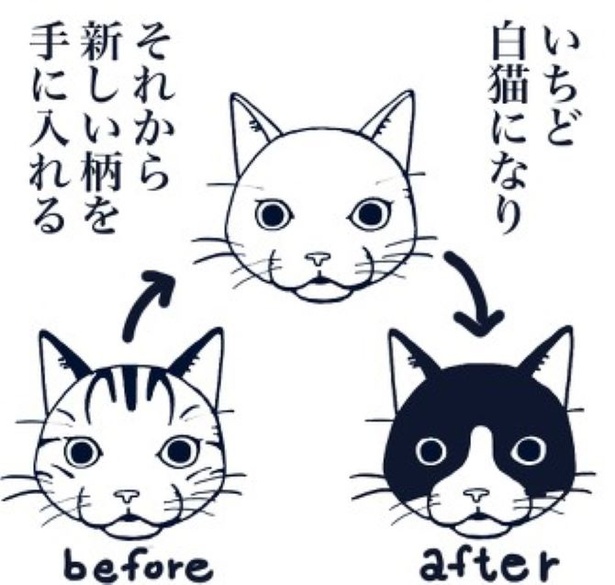 猫は天国に行くと一度白猫になり、再び新しい柄を与えられる