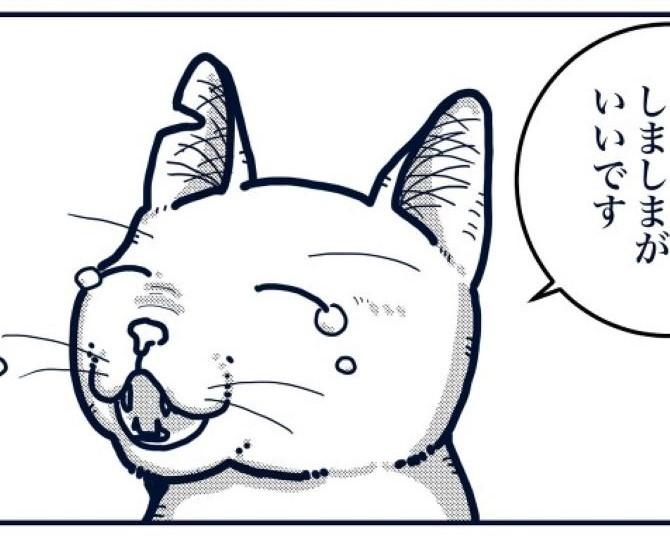 死んだ猫は一度白猫へ戻り、生まれ変わるとき新しい柄を与えられる！「いつかまた会える」を描く感動作【作者に聞く】