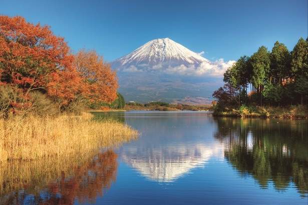 秋の1dayトリップ】富士山紅葉・温泉・牧場を日帰りで満喫！静岡・田貫