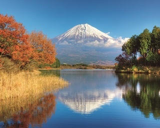 【秋の1dayトリップ】富士山紅葉・温泉・牧場を日帰りで満喫！静岡・田貫湖周辺の旅