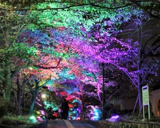 宝塚・花のみちが幻想的にハロウィンライトアップ