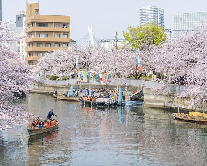 水上から花見が楽しめる！「第21回 お江戸深川さくらまつり」が3月22日から開催