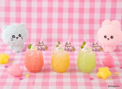 3種類展開のチェゴシムのカラフルパワードリンク