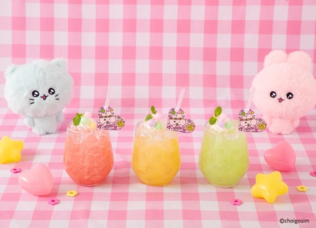 3種類展開のチェゴシムのカラフルパワードリンク