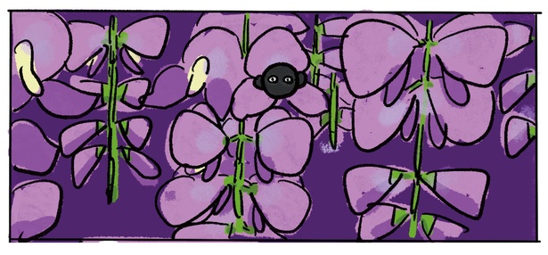 1話P14-1