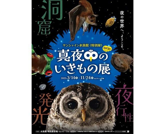 いざ、夜にしか楽しめない世界へ。池袋・サンシャイン水族館で、特別展「真夜中のいきもの展」が開催決定！