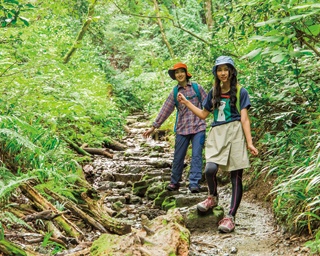 【今が旬！東京山歩き】登山ブームの火付け役！挑戦しやすい楽しい山の代表格・高尾山おすすめコース