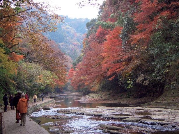 「養老渓谷(中瀬遊歩道)」では、紅葉と共に釣りや足湯も楽しめる