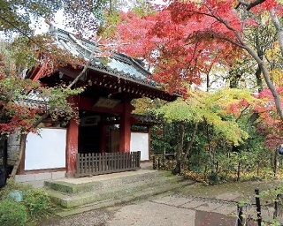 地元で気軽に贅沢絶景！千葉の紅葉名所4選