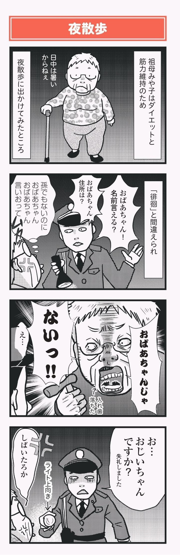 「祖母みや子100歳 年を取るって楽しく愉快だ！」夜散歩