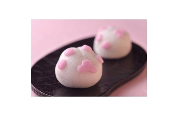 【写真】ぷにぷにの肉球がたまらない！