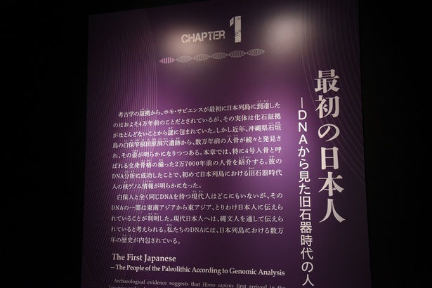 第1章：最初の日本人 ―DNAから見た旧石器時代の人々