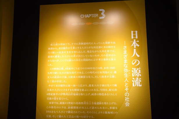 第3章：日本人の源流 ―さまざまな弥生人とその社会
