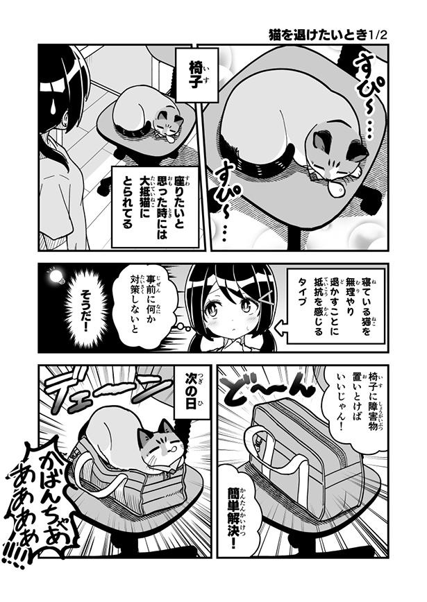 猫を退けたいとき 1