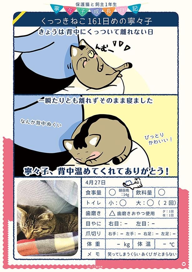 くっつきねこ161日めの寧々子
