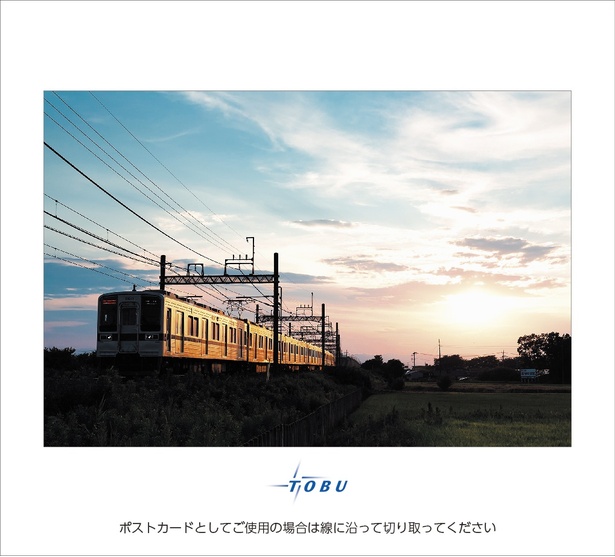 ポストカード