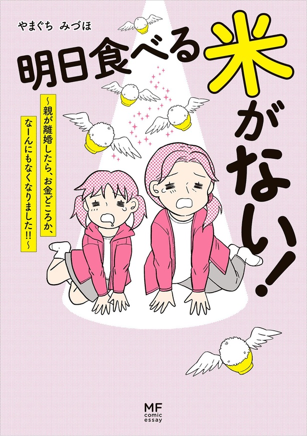 『明日食べる米がない！～親が離婚したら、お金どころか、なーんにもなくなりました!!』