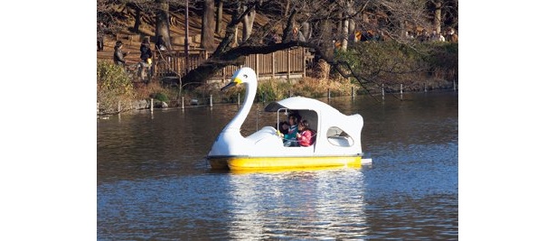 井の頭公園も住民の憩いの場