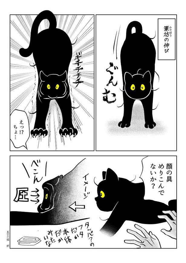 うちの猫は様子がおかしい86