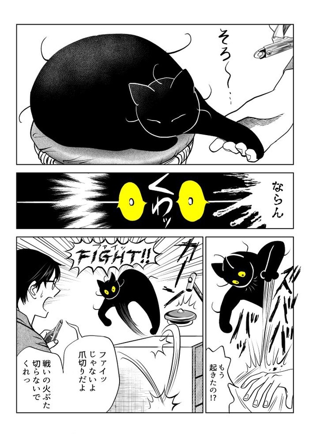 うちの猫は様子がおかしい88