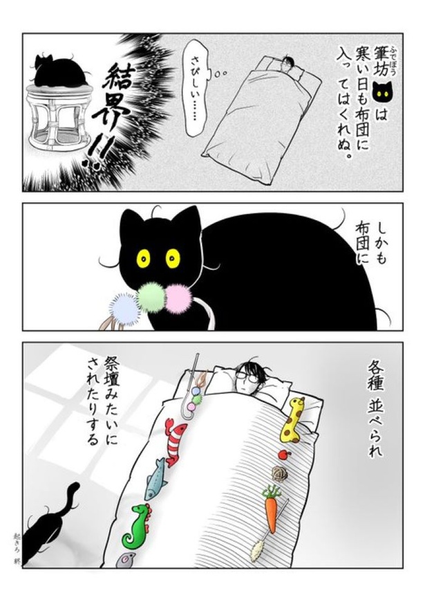うちの猫は様子がおかしい