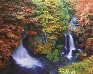 【秋の1dayトリップ】奥日光三名瀑巡りで運気アップ！栃木・湯滝の旅