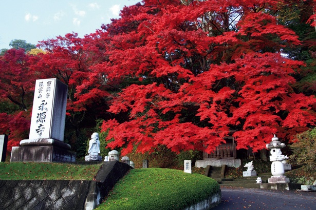 人気観光地で晩秋の絶景に感動 栃木 茨城の紅葉名所4選 ウォーカープラス