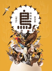 名古屋市科学館で特別展「鳥～ゲノム解析が解き明かす新しい鳥類の系統～」が開催中